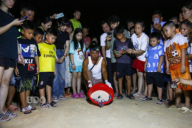 Người dân và du khách rất thích thú xem rùa con mới nở. Ảnh: NGUYỄN DŨNG Người dân và du khách rất thích thú xem rùa con mới nở. Ảnh: NGUYỄN DŨNG