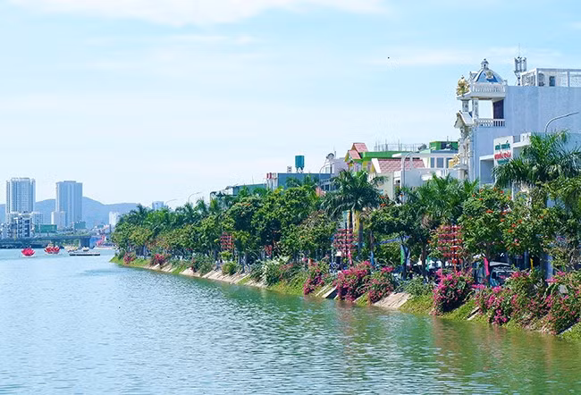 Dọc bờ sông Hà Thanh có nhiều cây xanh, khoe sắc hoa rực rỡ.