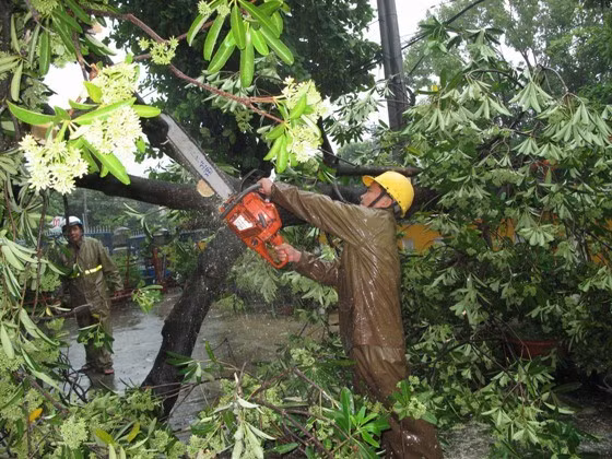 Mưa bão diễn biến phức tạp trên địa bàn tỉnh Bình Định ảnh 27