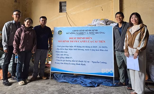 Chuyên gia tỉnh Bình Định chuẩn bị giống vật tư để hỗ trợ xây dựng mô hình tại tỉnh Sekong. Ảnh: Trung tâm Khuyến nông cung cấp