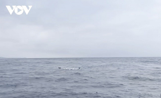 Tàu cá đã bị chìm chỉ còn ít ngư cụ nổi trên mặt biển.