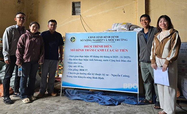 Chuyên gia tỉnh Bình Định chuẩn bị giống vật tư để hỗ trợ xây dựng mô hình tại tỉnh Sekong. Ảnh: Trung tâm Khuyến nông cung cấp