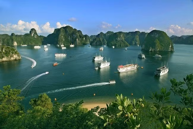 Di sản thiên nhiên thế giới vịnh Hạ Long và các di sản khác được giữ nguyên tên sau sáp nhập - Ảnh: Ban quản lý vịnh Hạ Long