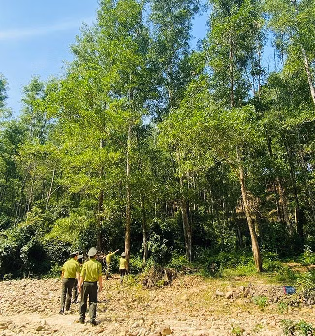 Bên cạnh nỗ lực của các lực lượng chức năng, Sở Nông nghiệp và Môi trường mong muốn tiếp nhận nhiều thông tin phản ánh từ các cơ quan, đơn vị, tổ chức, cá nhân thông qua đường dây nóng. Ảnh: N.N