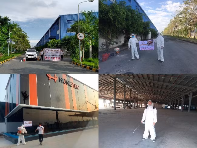 Avon Tiên Phong kiểm soát côn trùng tại nhà máy Avon Tiên Phong kiểm soát côn trùng tại nhà máy