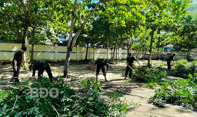 Chiến sĩ của Trung đoàn cắt tỉa cây đề phòng ngã đổ trước mùa mưa.