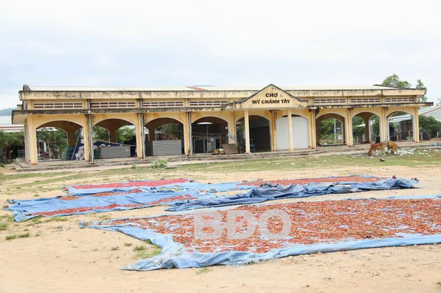 Chợ Mỹ Chánh Tây (xã Mỹ Chánh Tây, huyện Phù Mỹ) không có tiểu thương mua bán nên bỏ hoang.