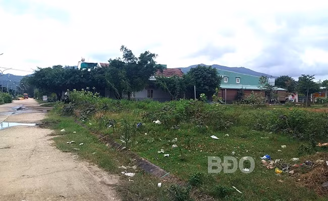 Vỉa hè tại nhiều khu phố chưa được xây dựng, cỏ mọc um tùm, mất mỹ quan đô thị. Ảnh: V.L