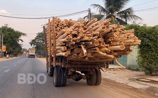Dù bị cấm nhưng xe máy cày tự chế kéo rơ-moóc vẫn chạy trên QL 19 giữa ban ngày. Ảnh: N.C