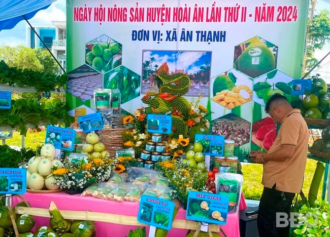 Khách hàng tham quan tại Ngày hội Nông sản huyện Hoài Ân. Ảnh: HẢI YẾN