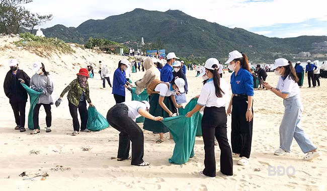 Các lực lượng tham gia dọn dẹp, vệ sinh bãi biển Trung Lương (thị trấn Cát Tiến, huyện Phù Cát), ngày 1.6. Ảnh: V.L Các lực lượng tham gia dọn dẹp, vệ sinh bãi biển Trung Lương (thị trấn Cát Tiến, huyện Phù Cát), ngày 1.6. Ảnh: V.L