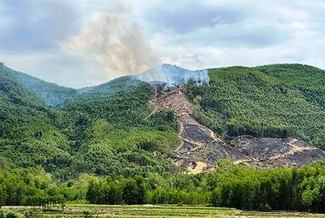 Đốt dọn thực bì để trồng rừng trên địa bàn xã Canh Vinh (huyện Vân Canh). Ảnh: G.N