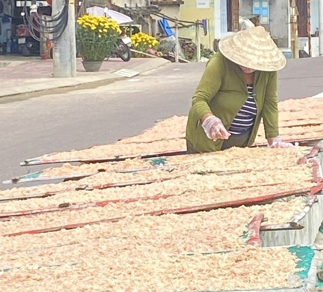 Nhơn Lý sôi động, nhộn nhịp hẳn lên với cảnh phơi ruốc, giã ruốc. Ảnh: N.T