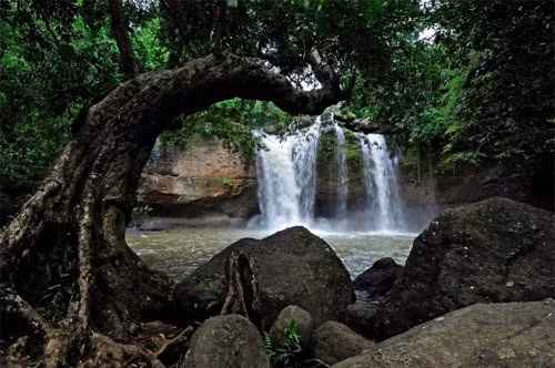 6. Vườn quốc gia Khao Yai, Thái Lan.