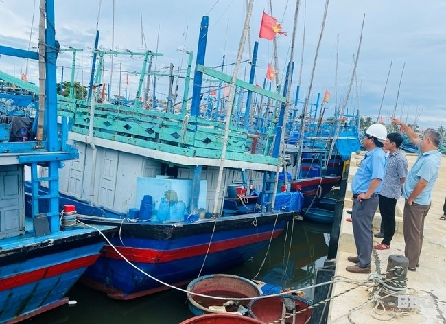 Giám đốc Sở NN&PTNT Trần Văn Phúc kiểm tra công tác phòng chống thiên tai ở Cảng cá Tam Quan của TX Hoài Nhơn. Ảnh: N.T Giám đốc Sở NN&PTNT Trần Văn Phúc kiểm tra công tác phòng chống thiên tai ở Cảng cá Tam Quan của TX Hoài Nhơn. Ảnh: N.T