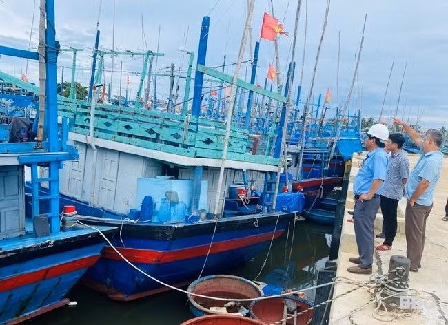 Giám đốc Sở NN&PTNT Trần Văn Phúc kiểm tra công tác phòng chống thiên tai ở Cảng cá Tam Quan của TX Hoài Nhơn. Ảnh: N.T