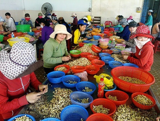 Lao động làm việc ở một cơ sở chế biến nông sản tại cụm công nghiệp Bình Định. Ảnh: XUÂN THỨC Lao động làm việc ở một cơ sở chế biến nông sản tại cụm công nghiệp Bình Định. Ảnh: XUÂN THỨC