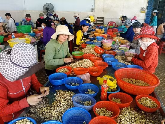 Lao động làm việc ở một cơ sở chế biến nông sản tại cụm công nghiệp Bình Định. Ảnh: XUÂN THỨC