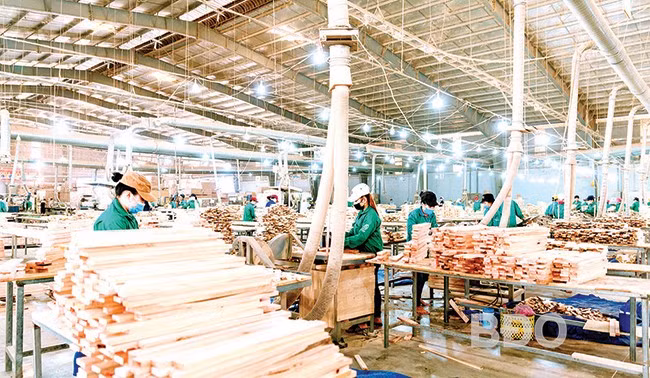 Công ty TNHH Sản xuất thương mại và Xây dựng Thiên Phát với hơn 1.200 công nhân, lao động. Ảnh: M.H