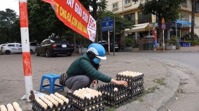 Việc treo biển giải cứu cùng với đó là việc hạ giá thành trứng đã đánh trúng tâm lý nhiều người tiêu dùng.