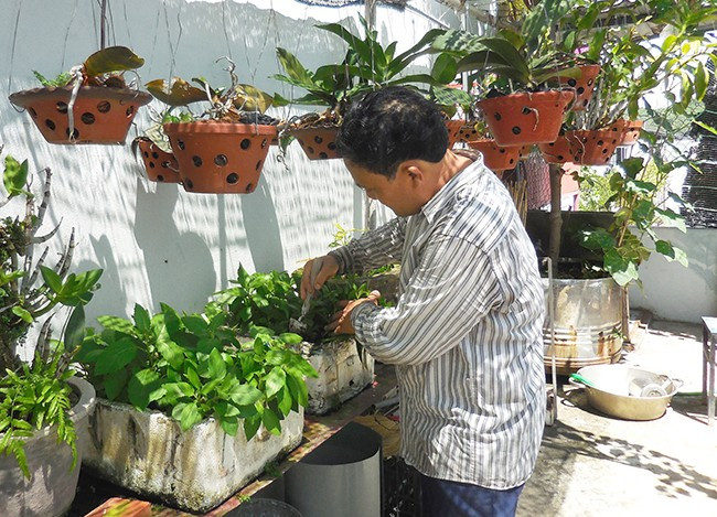 Ông Nguyễn Văn Phụng bón phân hữu cơ cho vườn rau trên sân thượng của gia đình. Ảnh: V.L Ông Nguyễn Văn Phụng bón phân hữu cơ cho vườn rau trên sân thượng của gia đình. Ảnh: V.L