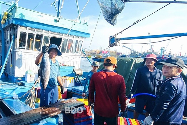 Nhiều chủ tàu đánh bắt xa bờ đầu tư rất bài bản các hầm bảo quản hải sản để giữ tôm, cá tươi ngon khi vào bờ. Ảnh: N.N Nhiều chủ tàu đánh bắt xa bờ đầu tư rất bài bản các hầm bảo quản hải sản để giữ tôm, cá tươi ngon khi vào bờ. Ảnh: N.N