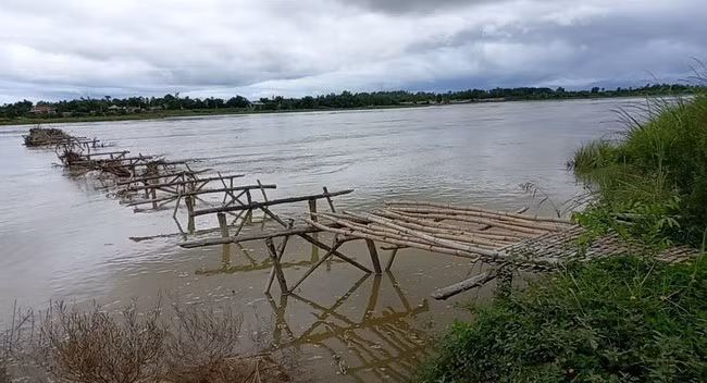 Cầu tre tạm An Chánh đã được tháo dỡ trước mùa mưa năm nay. Ảnh: VĂN PHONG