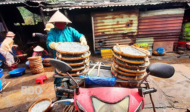 Xe máy chở cá cơm đã hấp ra chợ bán. Ảnh: Xuân Thức Xe máy chở cá cơm đã hấp ra chợ bán. Ảnh: Xuân Thức
