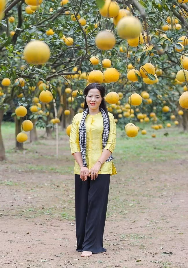 Chị Hoàng Lan (ở Quảng Ninh) thích thú khi tận mắt chứng kiến cả vườn bưởi rộng lớn, quả chín đều, vàng tươi. Chị cho biết: “Nhân dịp sinh nhật bạn, tôi đi xe lên Hà Nội và cùng bạn ghé vào đây trải nghiệm. Khung cảnh nơi đây thật ấn tượng, không gian yên tĩnh, thoáng đãng, trong lành, thoải mái để tạo dáng chụp ảnh”.