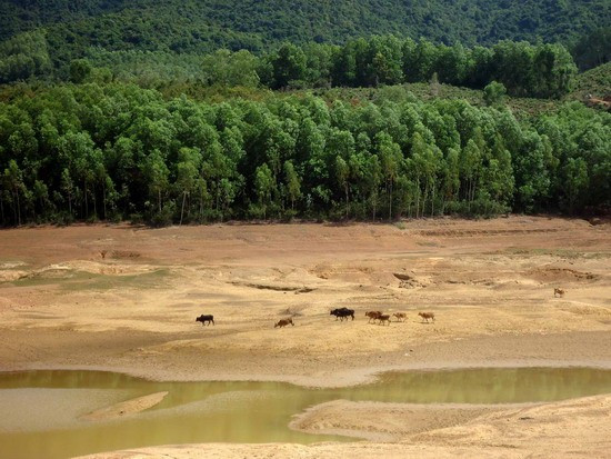 Hồ Hốc Mẫn (xã Mỹ Quang - Phù Mỹ) đã trơ đáy. Ảnh: XUÂN LỘC