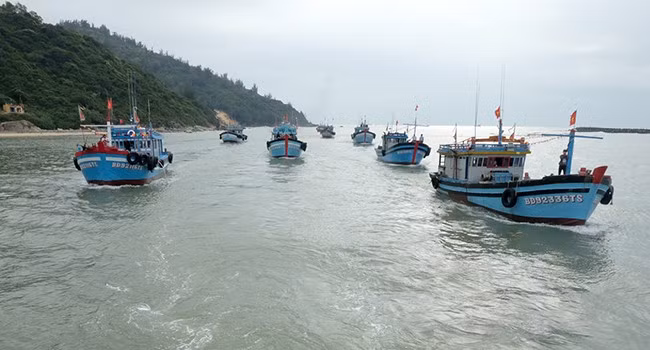 Nhiều tàu cá theo nghinh thần Nam Hải cầu mong sự hiển linh của thần. Ảnh: NGỌC NHUẬN