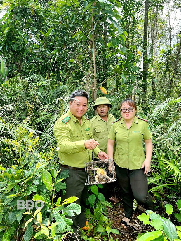 Ða dạng sinh học tại khu bảo tồn thiên nhiên an toàn: Nguồn tài nguyên quý cần được bảo vệ, phát huy ảnh 1 Ða dạng sinh học tại khu bảo tồn thiên nhiên an toàn: Nguồn tài nguyên quý cần được bảo vệ, phát huy ảnh 1