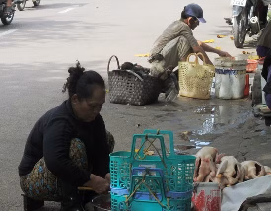 Một điểm giết mổ gia cầm không phép trên đường Hoàng Hoa Thám, gần chợ Đầm (TP Quy Nhơn). Ảnh: GIA KHƯƠNG