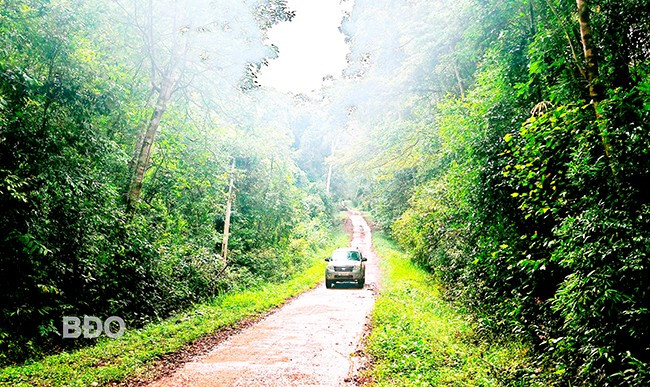 Tuyến đường xuyên rừng kết nối làng K2 (Vĩnh Sơn) và làng Hà Nừng (Sơn Lang). Ảnh: H.THU Tuyến đường xuyên rừng kết nối làng K2 (Vĩnh Sơn) và làng Hà Nừng (Sơn Lang). Ảnh: H.THU