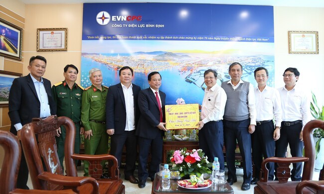 Công ty Điện lực Bình Định bày tỏ vui mừng khi nhận được sự quan tâm của lãnh đạo tỉnh. Ảnh: T.SỸ