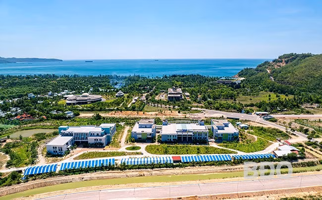 QAI được ví là cánh chim đầu đàn của AI tại Bình Định. Ảnh:DŨNG NHÂN
