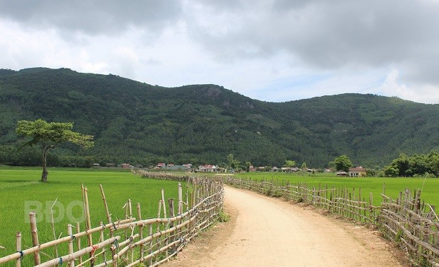 Đường vào thôn Chánh Thắng, ngay cả đường đi thôi cũng đã quá đẹp. Đường vào thôn Chánh Thắng, ngay cả đường đi thôi cũng đã quá đẹp.