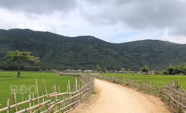 Đường vào thôn Chánh Thắng, ngay cả đường đi thôi cũng đã quá đẹp.