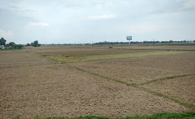 Đồng ruộng được nông dân phường Nhơn Thành (TX An Nhơn) cày ải, chuẩn bước vào sản xuất vụ Thu. Ảnh: TRỌNG LỢI