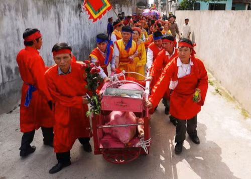 Người dân Ném Thượng rước lợn quanh làng trước khi mang ra chém. Người dân Ném Thượng rước lợn quanh làng trước khi mang ra chém.