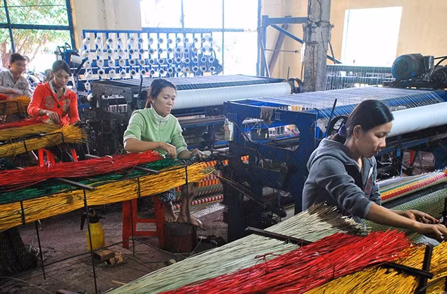 Cơ sở sản xuất chiếu cói tại làng nghề dệt chiếu cói Công Thạnh, Tam Quan Bắc. Ảnh: HẢI YẾN