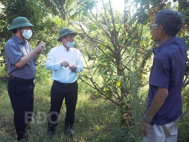 Lãnh đạo tỉnh và huyện Hoài Ân kiểm tra một mô hình trồng cây ăn trái theo hướng kết hợp du lịch trên địa bàn huyện. Ảnh: THU DỊU