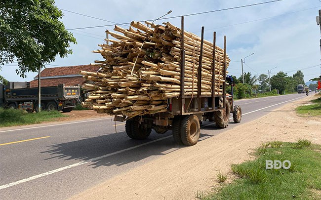 Xe máy cày kéo rơ-moóc tự chế vẫn ngang nhiên hoạt động trên QL 19. Ảnh: N.C Xe máy cày kéo rơ-moóc tự chế vẫn ngang nhiên hoạt động trên QL 19. Ảnh: N.C
