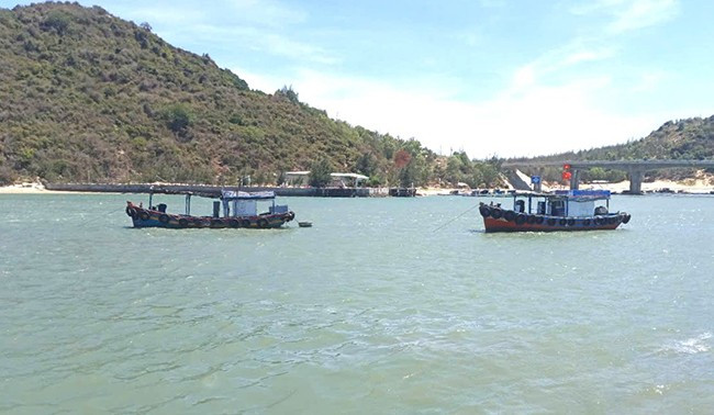 Hai huyện đồng lòng, hợp lực để bảo vệ nguồn lợi thủy sản trên đầm Đề Gi. Ảnh: N.N Hai huyện đồng lòng, hợp lực để bảo vệ nguồn lợi thủy sản trên đầm Đề Gi. Ảnh: N.N