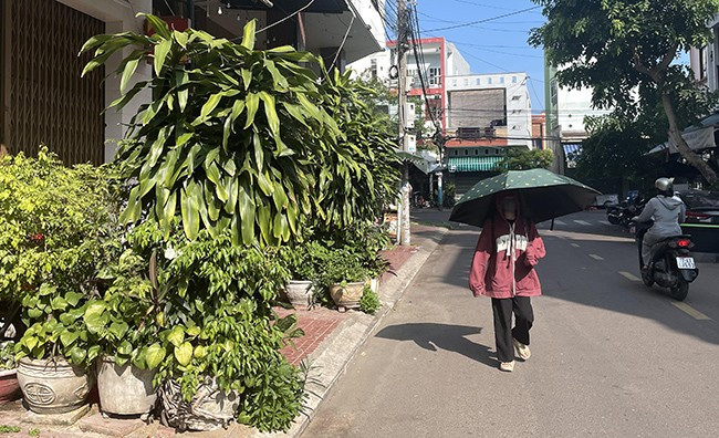Tại số nhà 33 Võ Lai, chậu cây cảnh đặt chắn hết lối đi trên vỉa hè của người đi bộ. Ảnh: THẢO VY Tại số nhà 33 Võ Lai, chậu cây cảnh đặt chắn hết lối đi trên vỉa hè của người đi bộ. Ảnh: THẢO VY