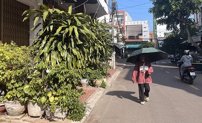 Tại số nhà 33 Võ Lai, chậu cây cảnh đặt chắn hết lối đi trên vỉa hè của người đi bộ. Ảnh: THẢO VY