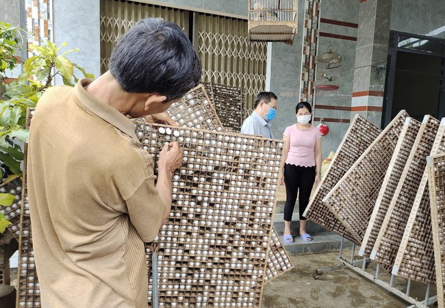 Nghề trồng dâu nuôi tằm được người dân thôn Vạn Khánh, xã An Hòa duy trì, phát triển. Ảnh: D.T.D Nghề trồng dâu nuôi tằm được người dân thôn Vạn Khánh, xã An Hòa duy trì, phát triển. Ảnh: D.T.D