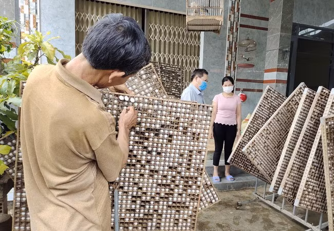 Nghề trồng dâu nuôi tằm được người dân thôn Vạn Khánh, xã An Hòa duy trì, phát triển. Ảnh: D.T.D