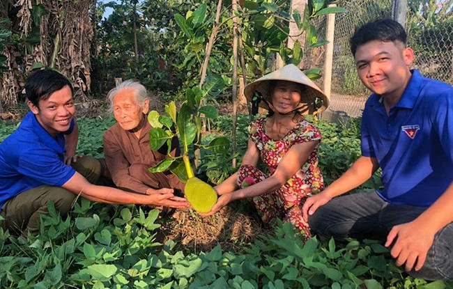 Đoàn phường Hoài Thanh thăm nom “Vườn cây tri ân” với những loại cây ăn quả đang độ lớn. Ảnh: D.L Đoàn phường Hoài Thanh thăm nom “Vườn cây tri ân” với những loại cây ăn quả đang độ lớn. Ảnh: D.L