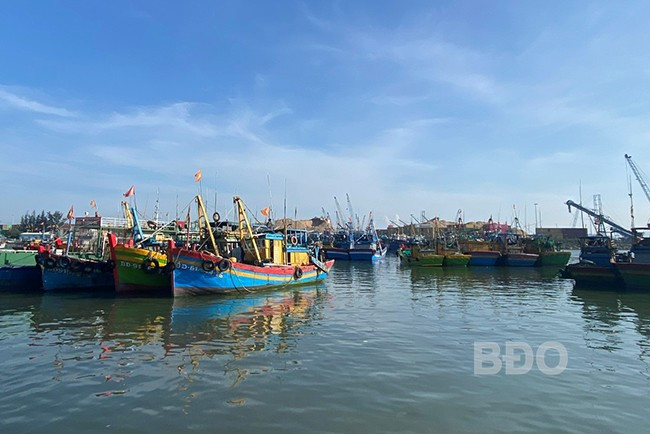 Huyện Phù Cát kiên quyết không để tàu cá không đủ điều kiện theo quy định ra khơi đánh bắt. Ảnh: N.N Huyện Phù Cát kiên quyết không để tàu cá không đủ điều kiện theo quy định ra khơi đánh bắt. Ảnh: N.N